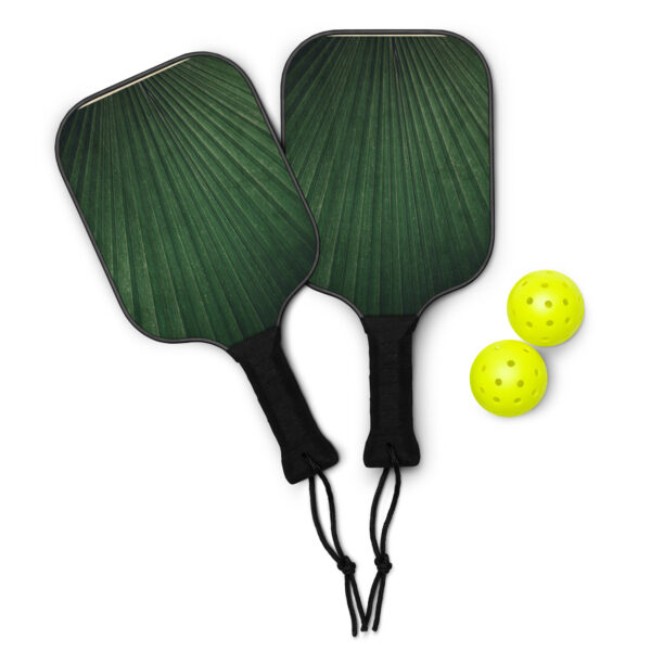 Pickleball paddle set