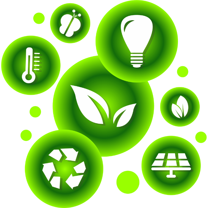 eco friendly products dgboom