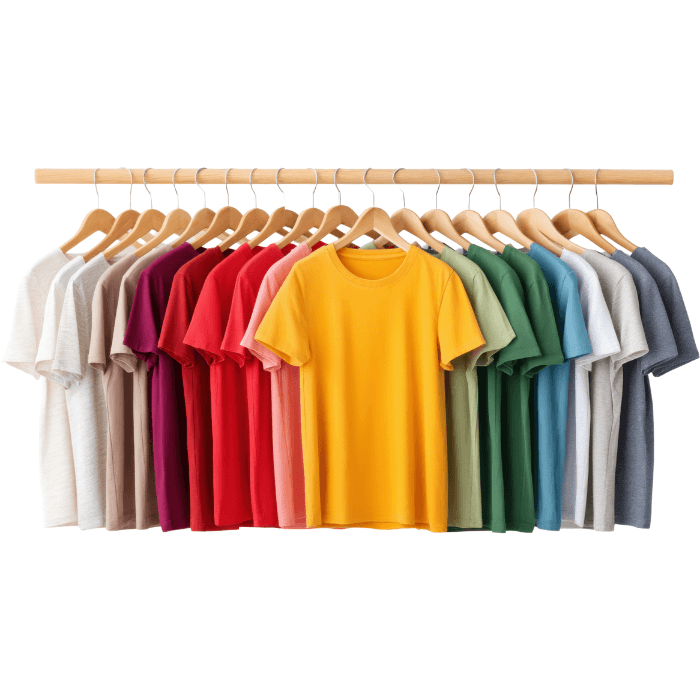 Organic Cotton T-Shirt