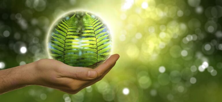 Eco friendly products dgboom